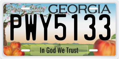 GA license plate PWY5133