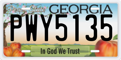 GA license plate PWY5135