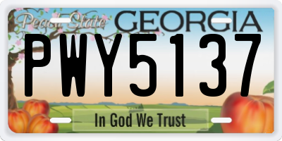 GA license plate PWY5137