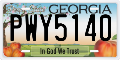 GA license plate PWY5140