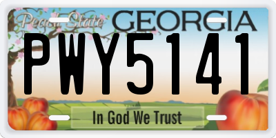 GA license plate PWY5141