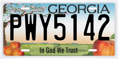 GA license plate PWY5142