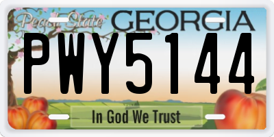 GA license plate PWY5144