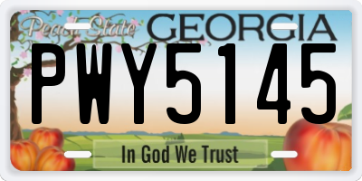 GA license plate PWY5145