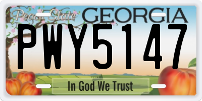 GA license plate PWY5147