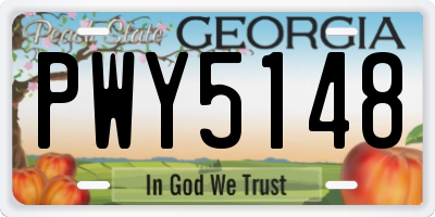 GA license plate PWY5148