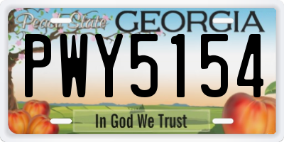 GA license plate PWY5154