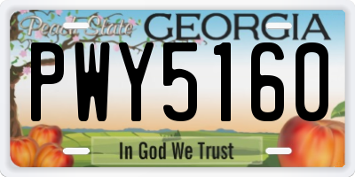 GA license plate PWY5160