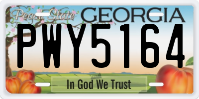 GA license plate PWY5164