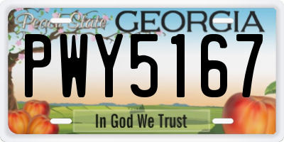 GA license plate PWY5167