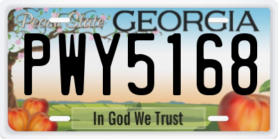GA license plate PWY5168