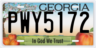 GA license plate PWY5172