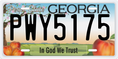 GA license plate PWY5175