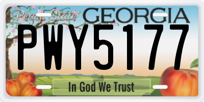 GA license plate PWY5177