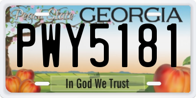 GA license plate PWY5181