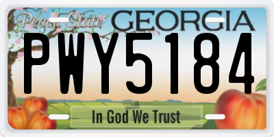 GA license plate PWY5184