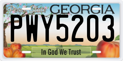 GA license plate PWY5203