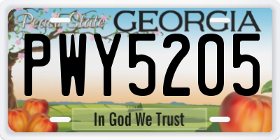 GA license plate PWY5205