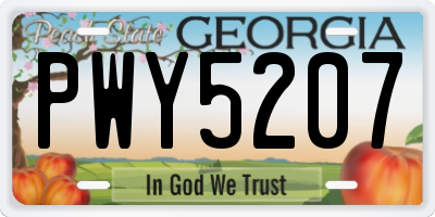 GA license plate PWY5207
