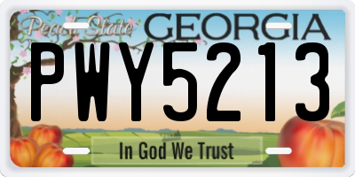 GA license plate PWY5213