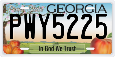 GA license plate PWY5225