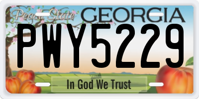 GA license plate PWY5229