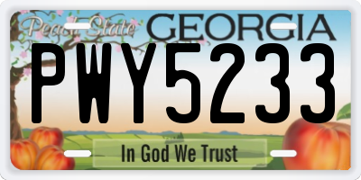 GA license plate PWY5233