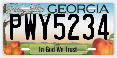 GA license plate PWY5234