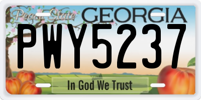 GA license plate PWY5237