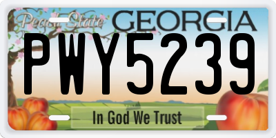 GA license plate PWY5239
