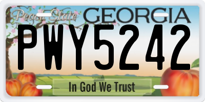 GA license plate PWY5242