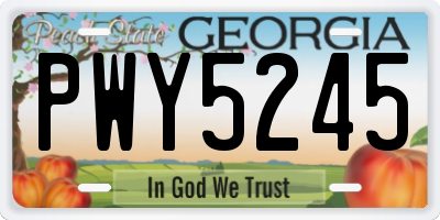 GA license plate PWY5245