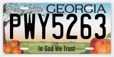 GA license plate PWY5263