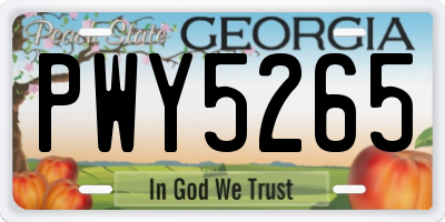 GA license plate PWY5265