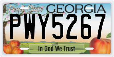 GA license plate PWY5267