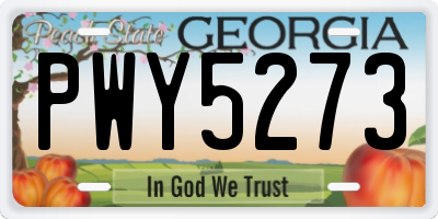 GA license plate PWY5273