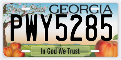 GA license plate PWY5285
