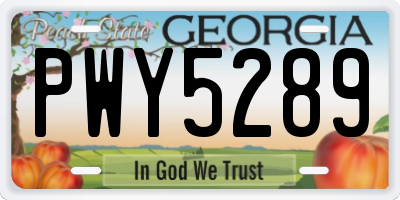 GA license plate PWY5289
