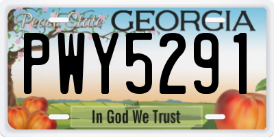 GA license plate PWY5291