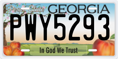 GA license plate PWY5293