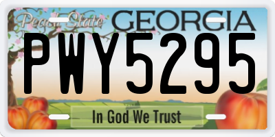 GA license plate PWY5295