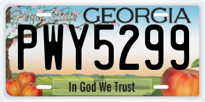 GA license plate PWY5299