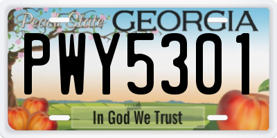 GA license plate PWY5301