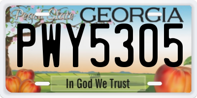GA license plate PWY5305