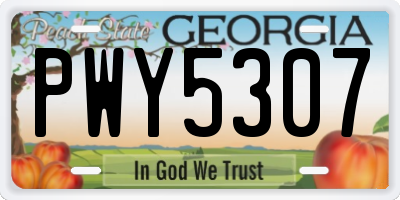 GA license plate PWY5307