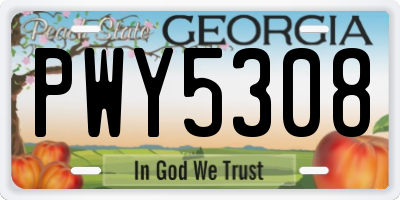 GA license plate PWY5308