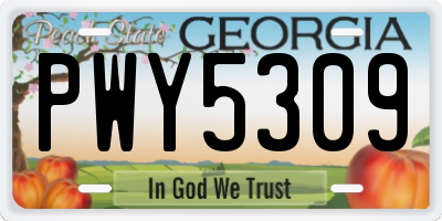 GA license plate PWY5309