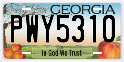 GA license plate PWY5310