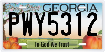 GA license plate PWY5312