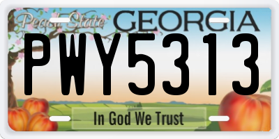 GA license plate PWY5313